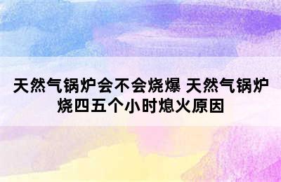 天然气锅炉会不会烧爆 天然气锅炉烧四五个小时熄火原因